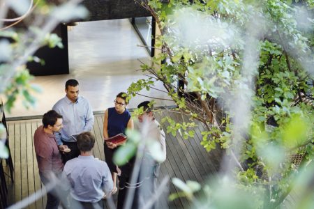 A group of colleagues standing in a circle in conversation. They are partially covered by tree branches in the foreground.